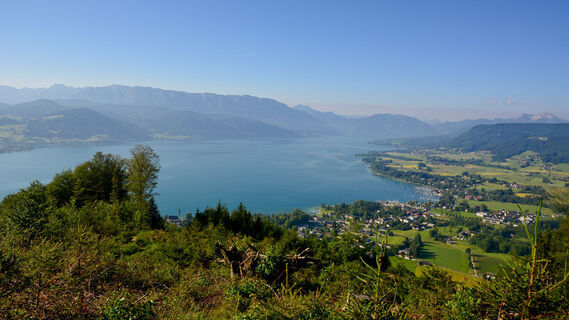 Die schöne Attersee Region