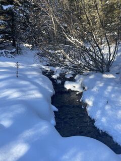 Foto de Amiks a lo largo del recorrido