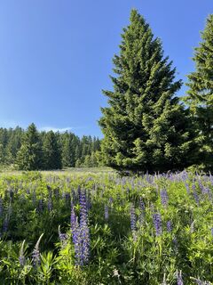 Foto de Marina I a lo largo del recorrido