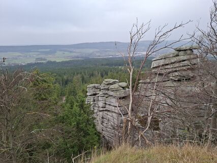 Foto de Wollomator a lo largo del recorrido
