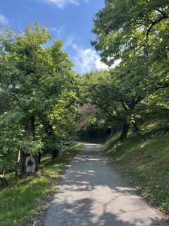 Foto von Franz Lochbichler entlang der Tour