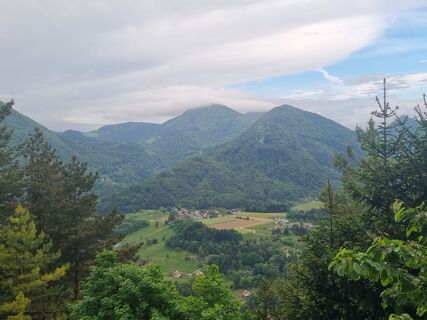 Foto de Grizli a lo largo del recorrido