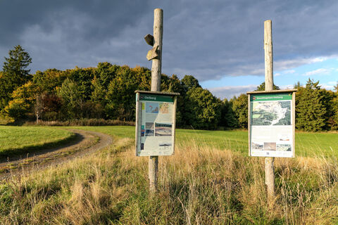 soehrewald_oelberg_basaltsteinbruch_6502a