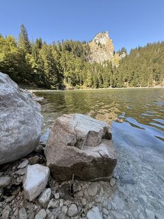 Foto von Natur_erleben_dg entlang der Tour