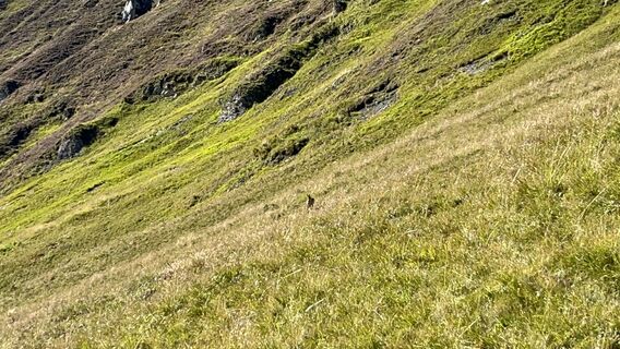 Photo de Stefan Knecht 1 le long du parcours