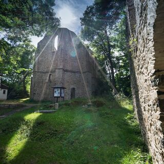Burgstein Ruine