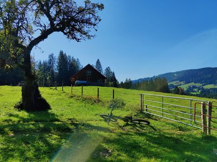 Foto von Skiprofessor entlang der Tour