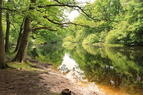 Kohlschlagbach-Weiher auf dem Warndt-Wald-Weg