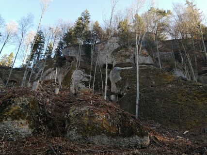 Photo de Brigitte Rottmann le long du parcours