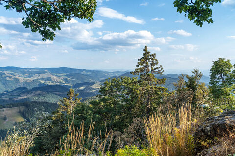 Blick vom Belchen, Schwarzwaldregion Belchen