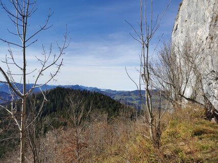 Zdjęcie z P Kowatschek wzdłuż trasy