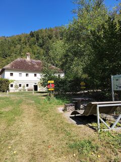 Foto da ReginaSt lungo il tour