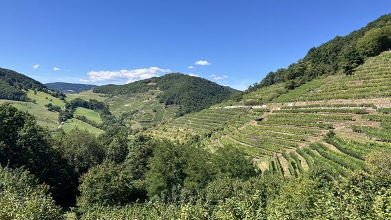 Foto fra Christian Kakuska undervejs på turen