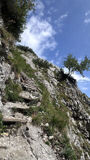 Zdjęcie z Mountain Cat ? ⛰️ wzdłuż trasy