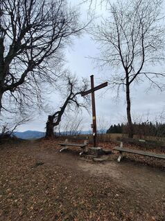 Photo de Mimi le long du parcours