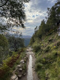 Fotografija s spletne strani Jeroen arnoldus na poti