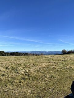 Foto von Marly Wouters entlang der Tour