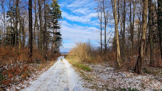 Photo de EP87 le long du parcours