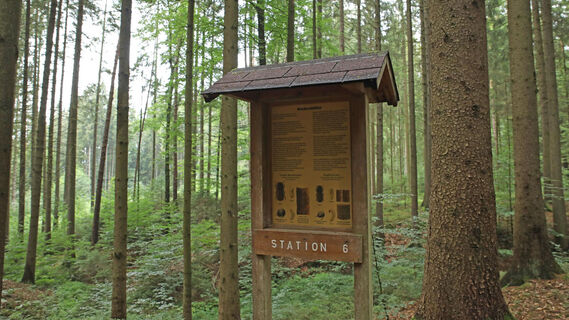 Waldlehrpfad Arnschwang