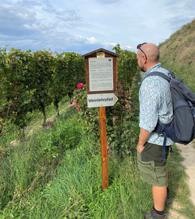 Weinlehrpfad 2 bearb