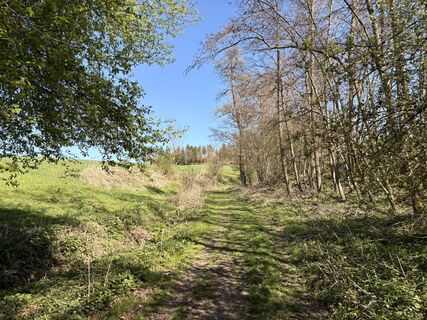 Fotografie z Nina Astleitner na trase