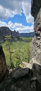 Photo de Bert le long du parcours