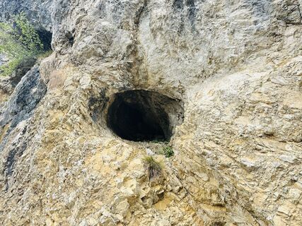 Fotografija s spletne strani Natur_erleben_dg na poti