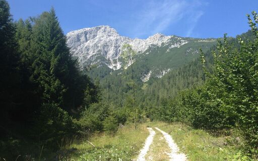 IMG_0772.jpg