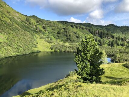 Fotografia z Peppi Calisthenics na trase
