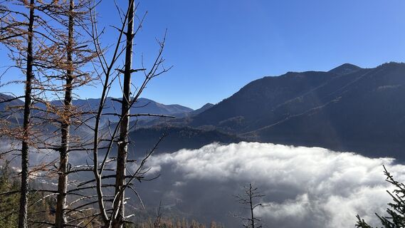 Zdjęcie z Helmut Scharf 1 wzdłuż trasy