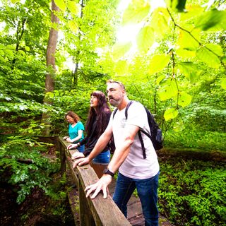 xx210725dsWandernWaldHirschberg-34.jpg