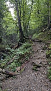 Fotografija s spletne strani Jele Hannes na poti