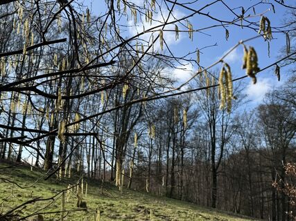 Zdjęcie z Michael Rosenfelder 1 wzdłuż trasy