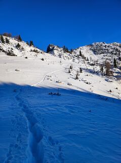 Photo de Matej Mezek le long du parcours
