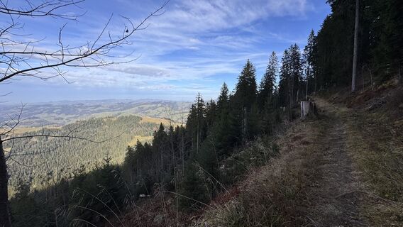 Fotografija s spletne strani peter_oe na poti