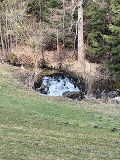 Foto von Gerhard Doberschek entlang der Tour