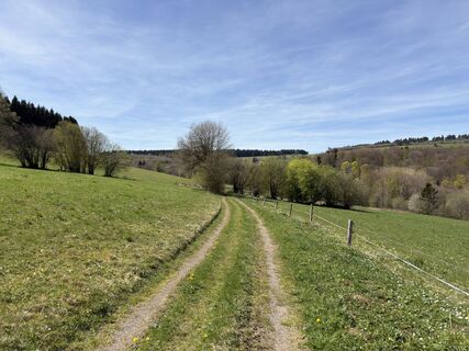 Photo de Frank Neumann le long du parcours