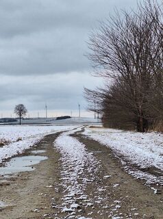Foto von Mimi entlang der Tour
