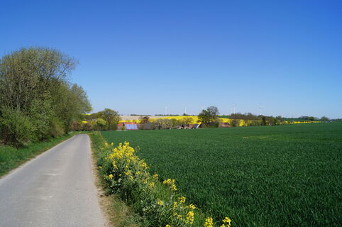 Felder Günne Möhnesee