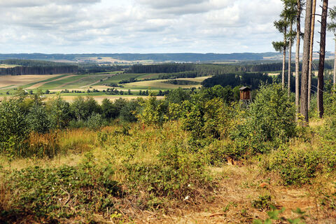 Naturpark Dobersberg