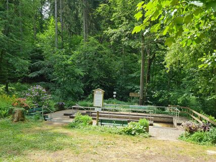 Wassertretanlage Grünenplan