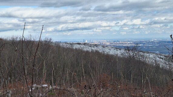 Foto von Regina Fleischmann entlang der Tour