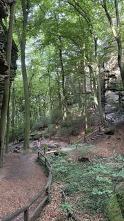 Fotó a Justin Rider honlapról a túra során