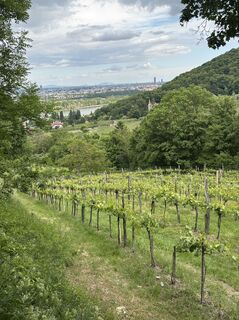 Foto von Robert Kremlicka entlang der Tour