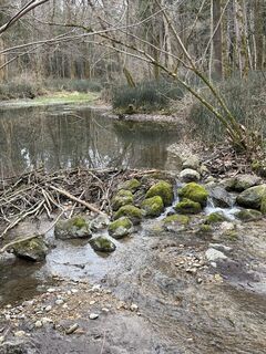 Foto de Moonlight13 a lo largo del recorrido