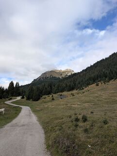 Foto von T Gössing entlang der Tour