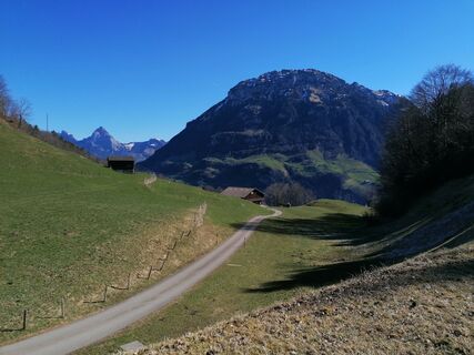 Fotografie z luyyy na trase