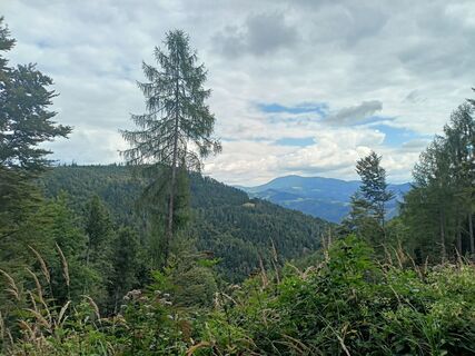 Fotografia z Tímea Čániová na trase