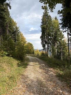 Photo de Martin Sicher le long du parcours