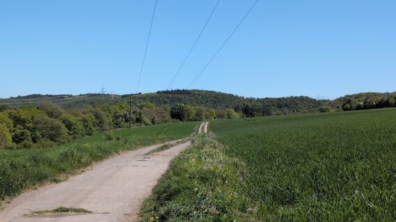 Fotografija s spletne strani kakus na poti